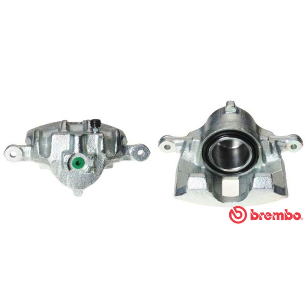 Jarrusatula 23-00010