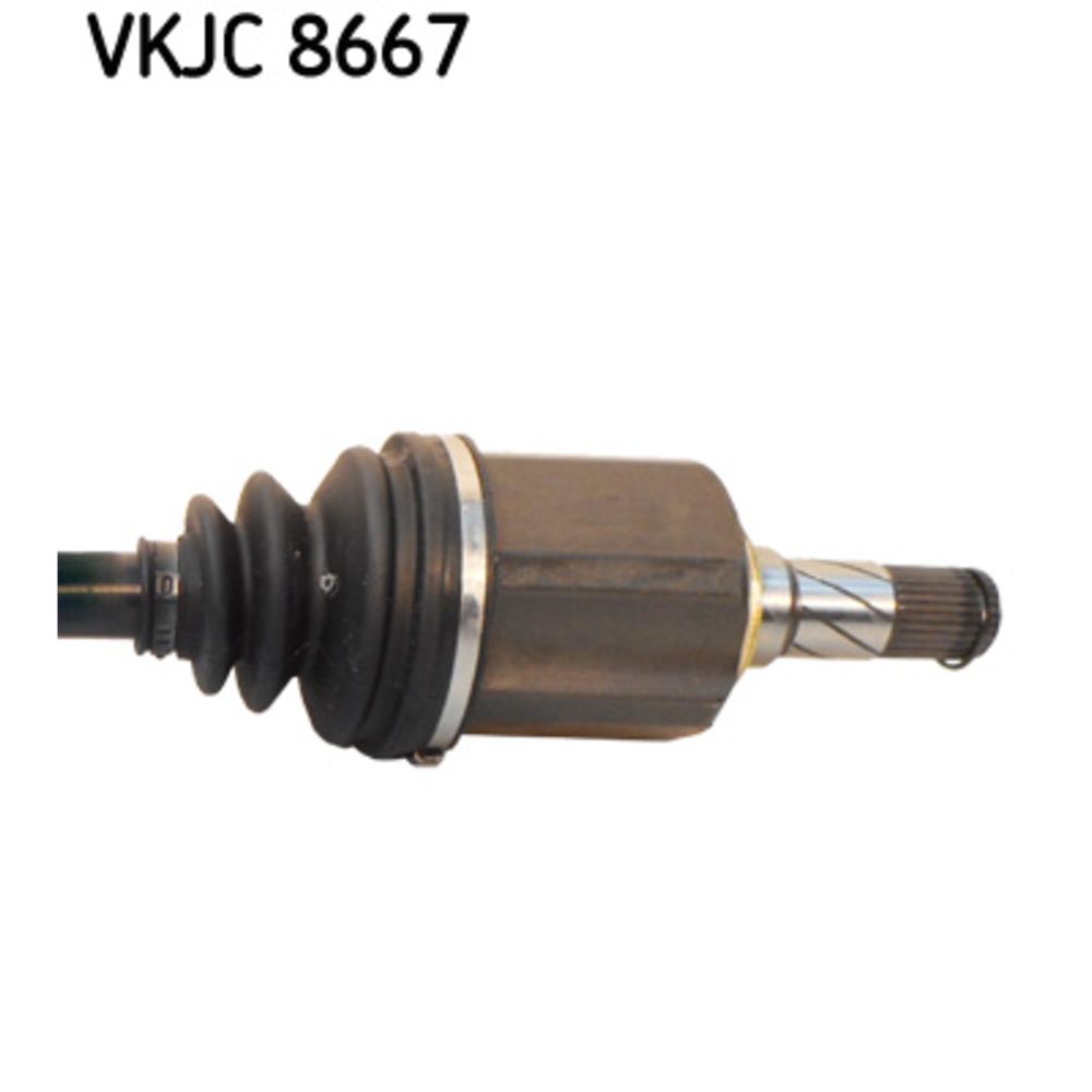 Veovõll 17-02591