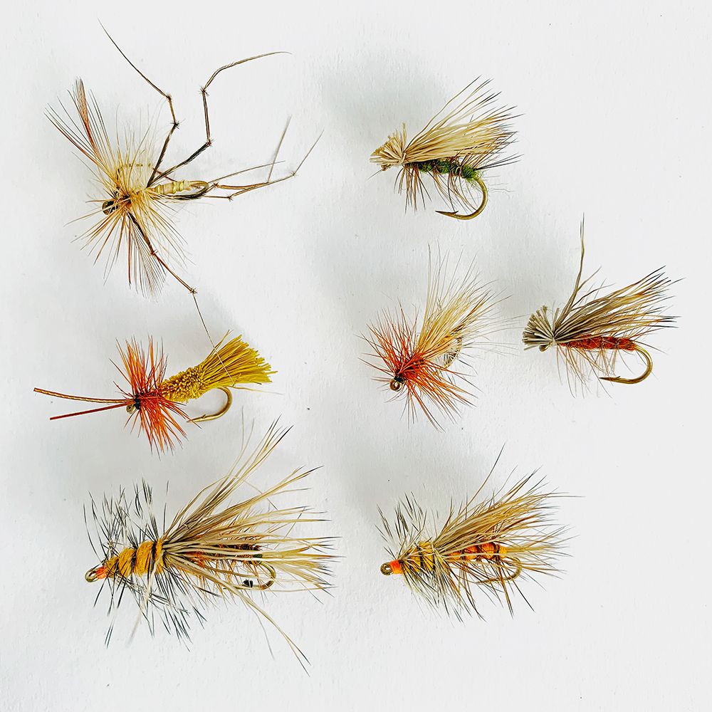 MTX Fishing Nattslända torrflugeset 7 st