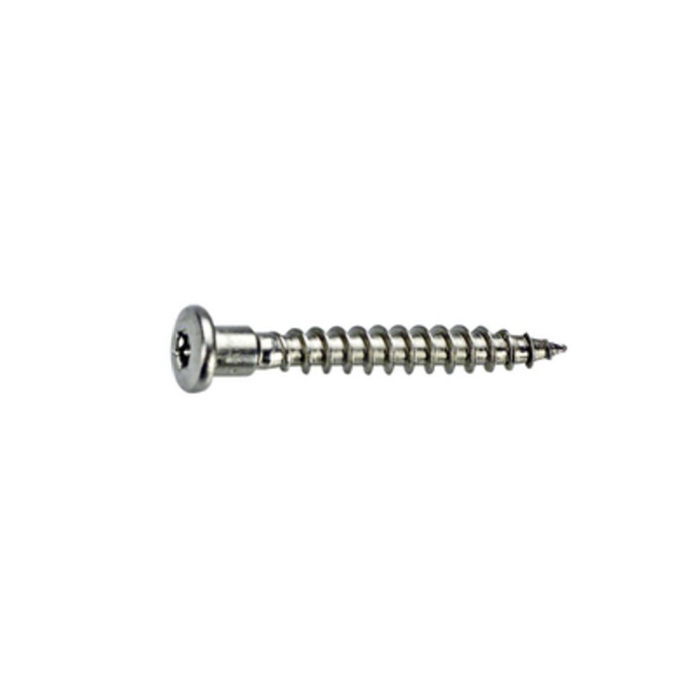 Fixmaster Naulauslevyruuvi TX20 RUSPERT 4,8X40 250 kpl