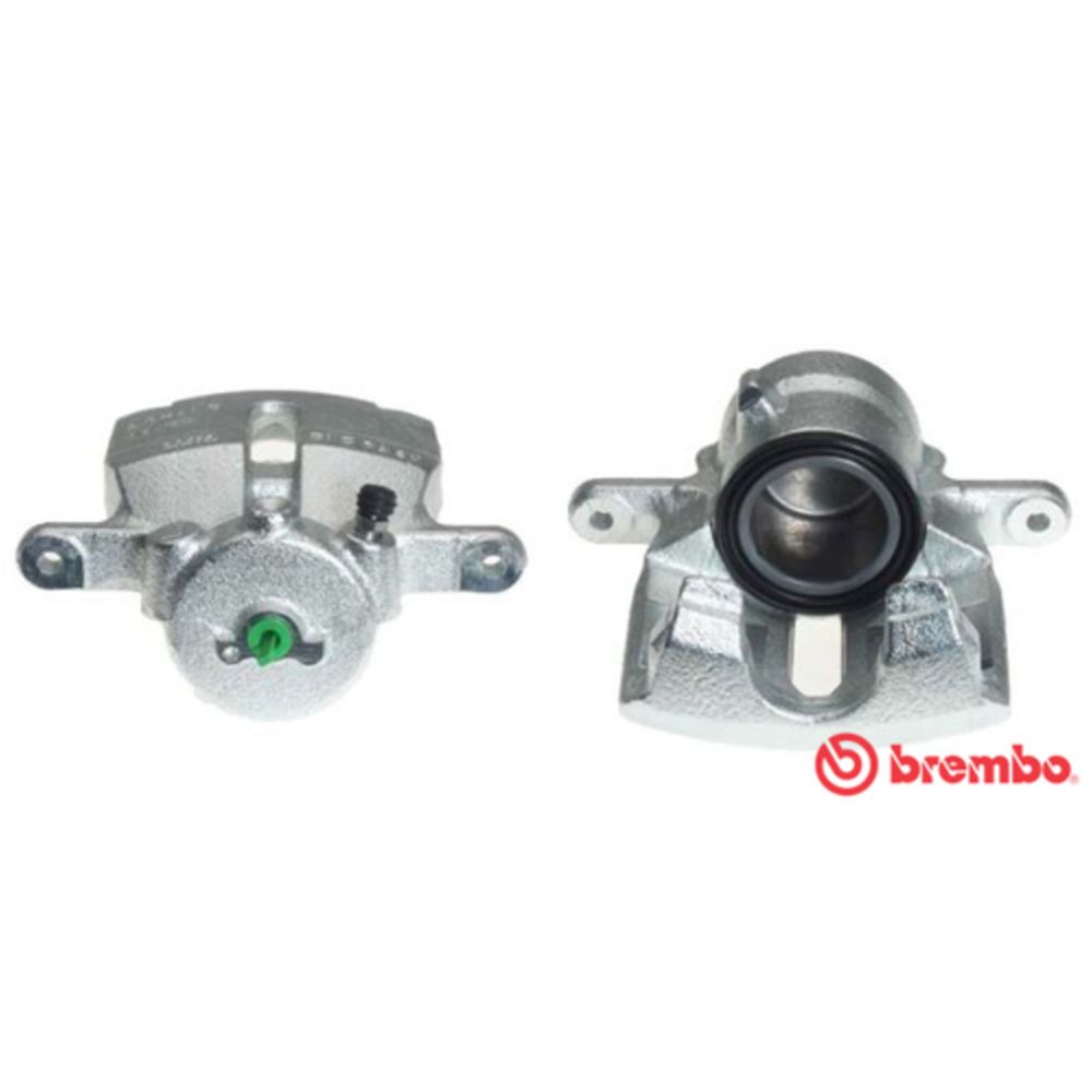 Jarrusatula 23-01171