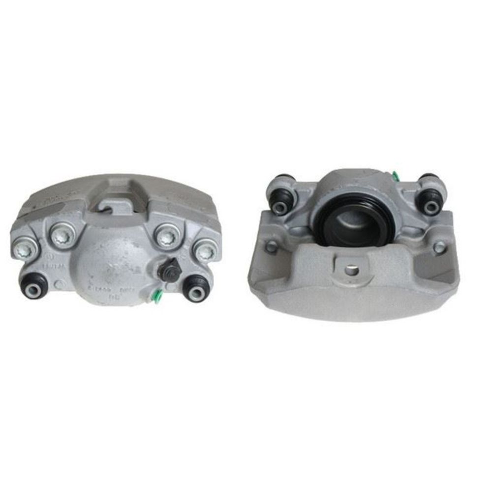 Jarrusatula 23-00319