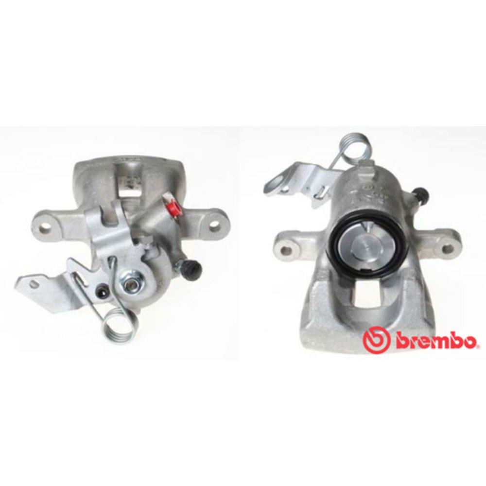 Jarrusatula 23-00451