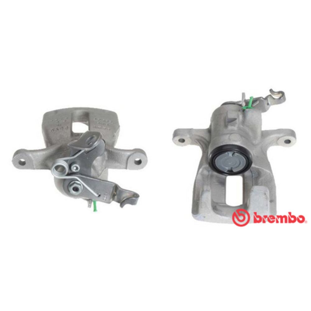 Jarrusatula 23-00164