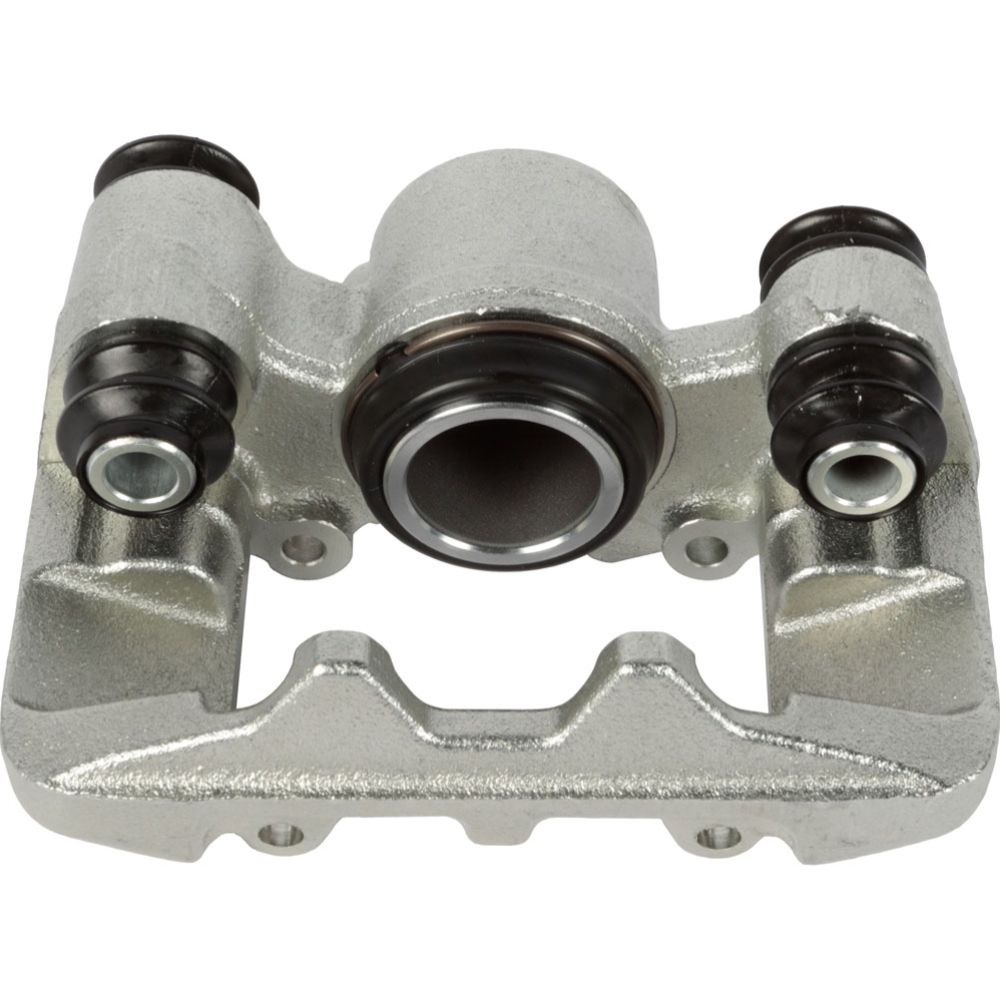Jarrusatula 23-00759