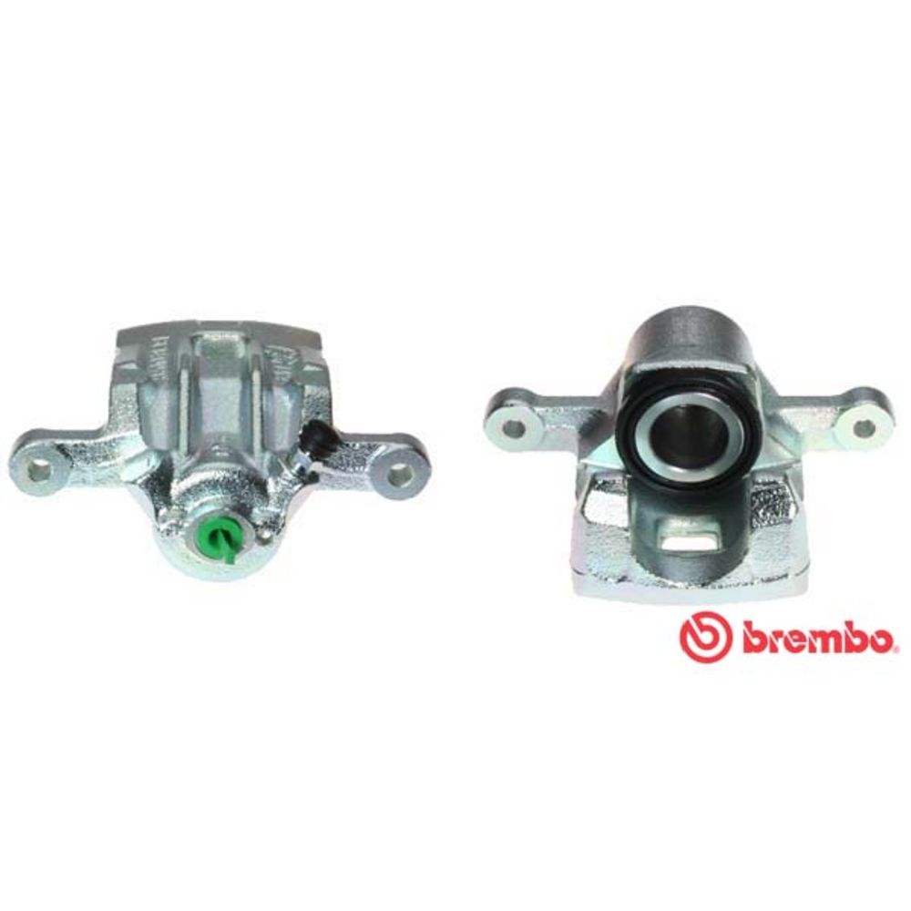 Jarrusatula 23-01529