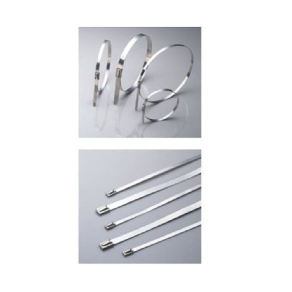 Nippuside Stainless 4,6 x 250 mm 20 kpl
