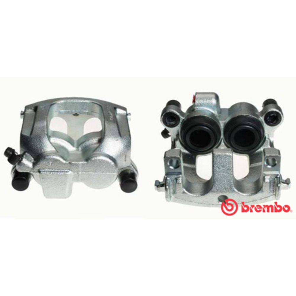 Jarrusatula 23-01466