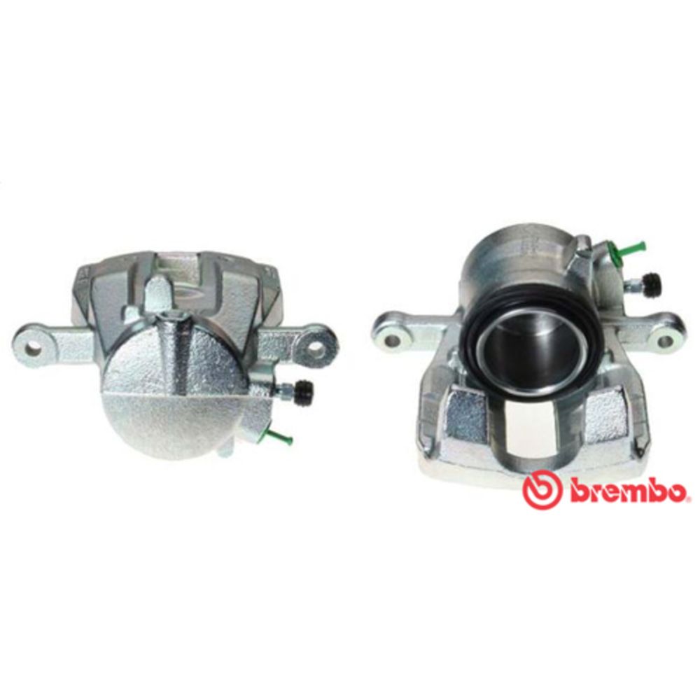 Jarrusatula 23-01213