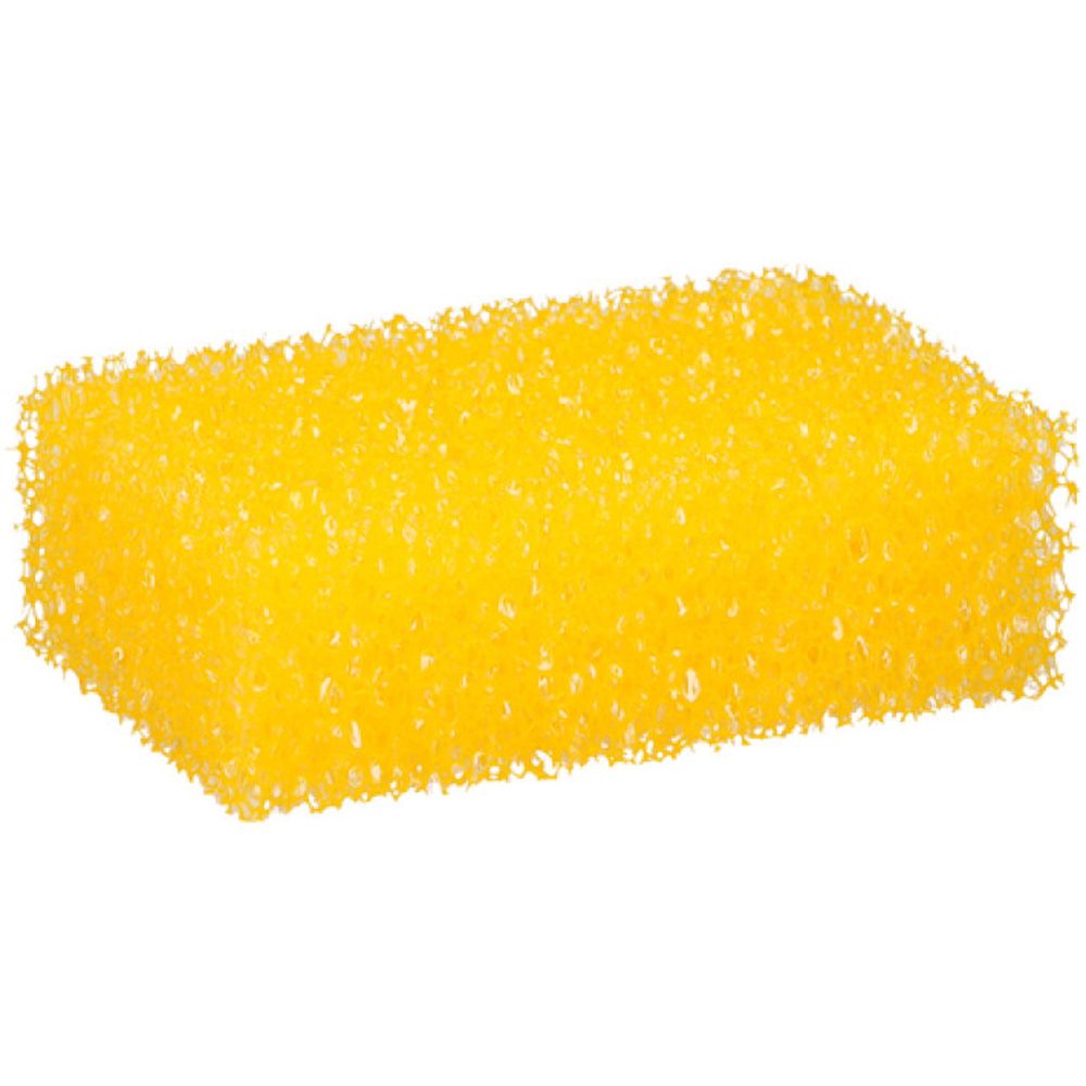 Dunlop insektssvamp