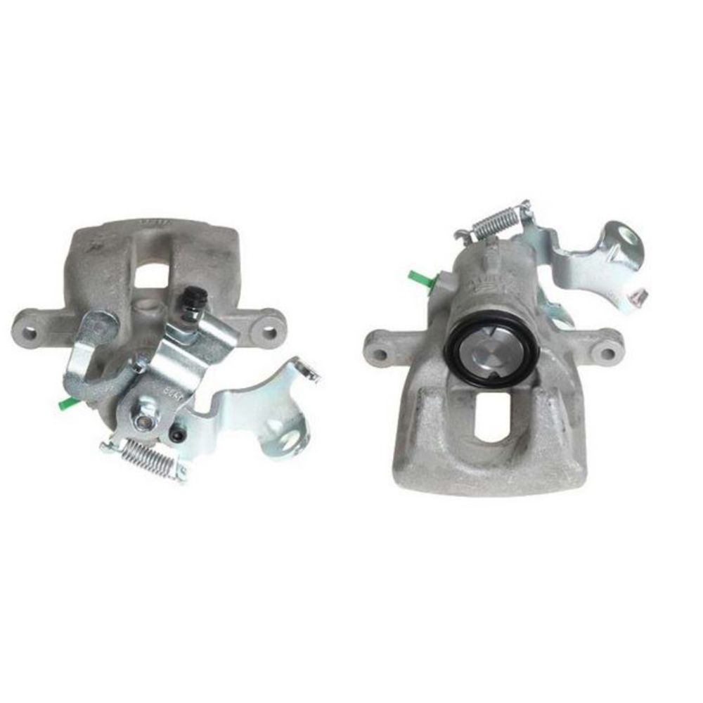 Jarrusatula 23-00107