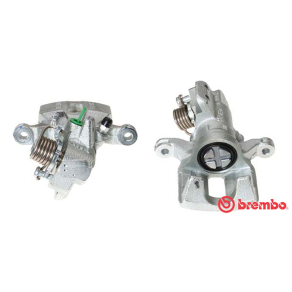 Jarrusatula 23-00601