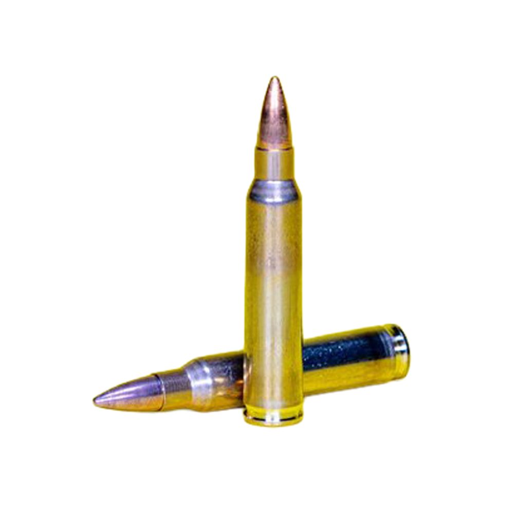Swiss P DS-1 FMJ .223 Rem 3.6 g/ 55 gr 50 kpl