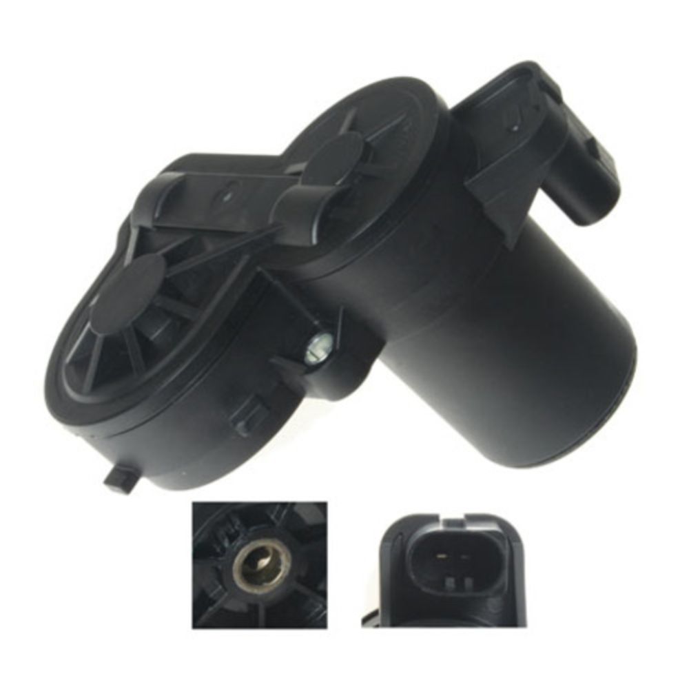 Jarrusatula 23-00907