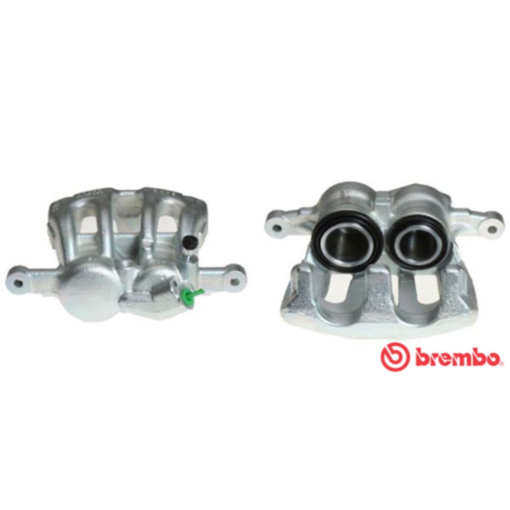 Jarrusatula 23-01319