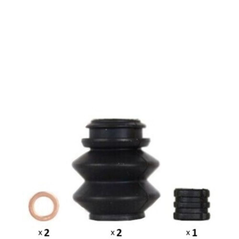 Jarrusatula 23-00484