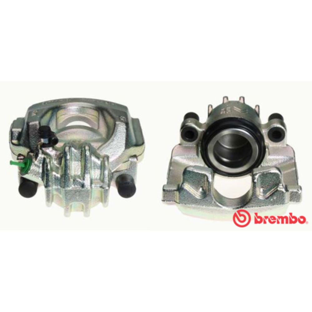 Jarrusatula 23-01142