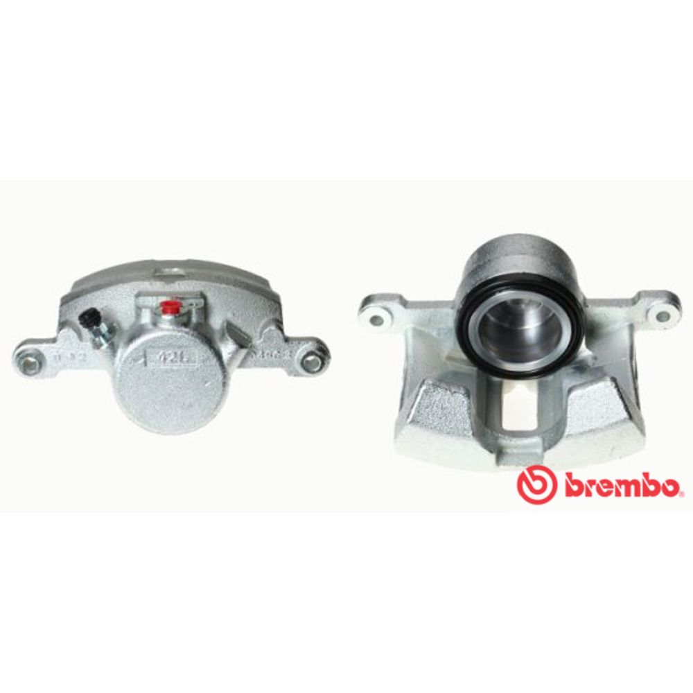 Jarrusatula 23-01330
