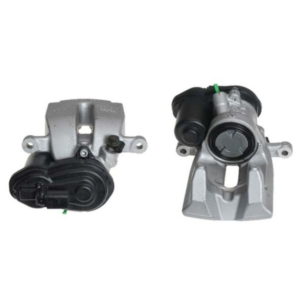 Jarrusatula 23-00924