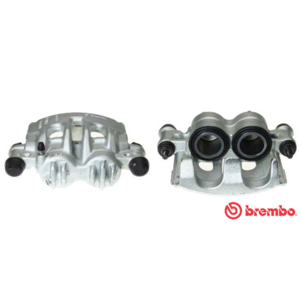 Jarrusatula 23-01122