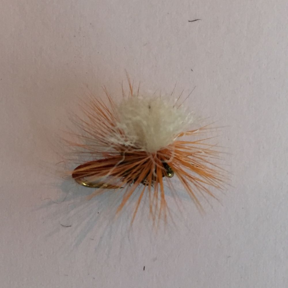 MTX Fishing Dries III torrflugeset 7 st.