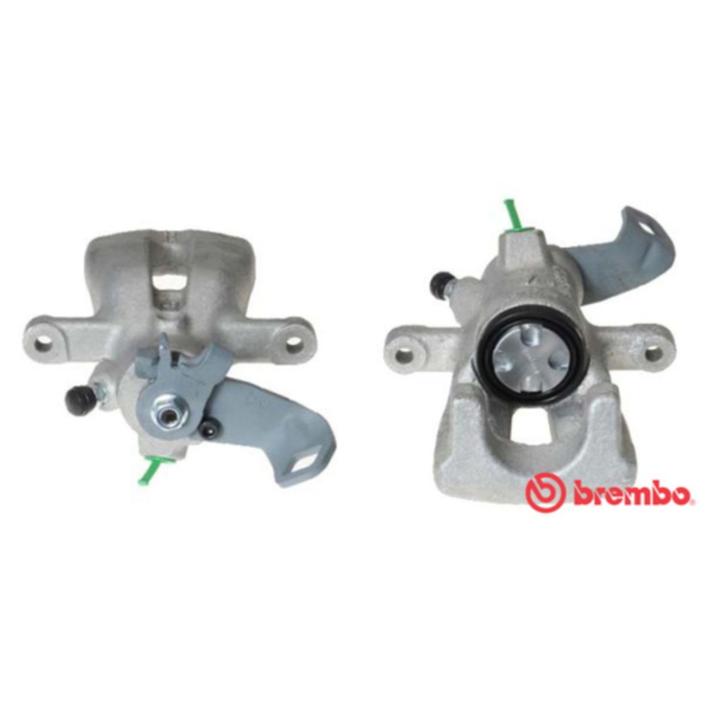 Jarrusatula 23-01313