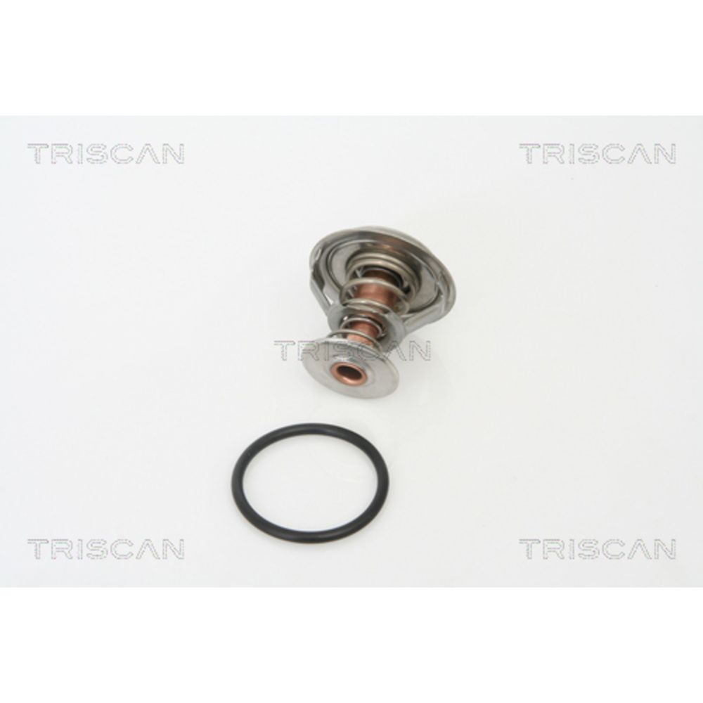 Termostat 30-6269