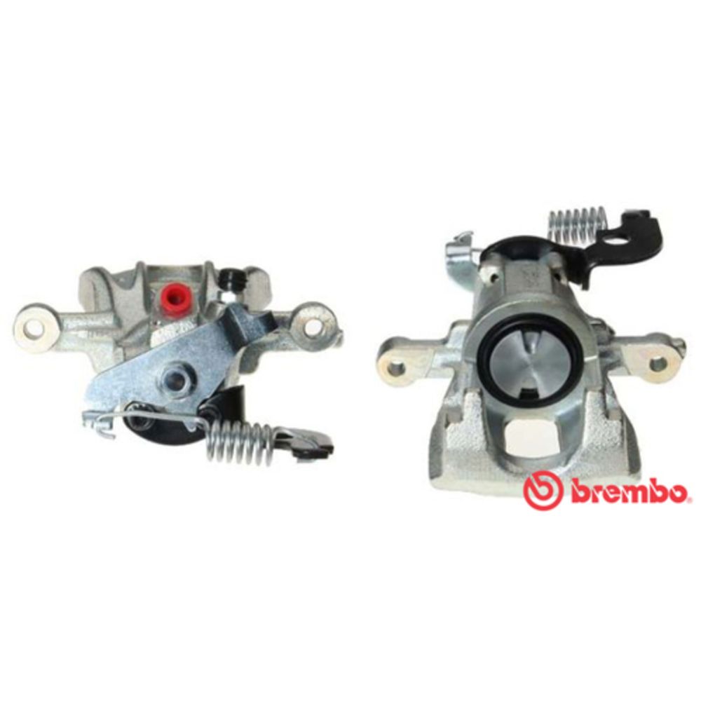 Jarrusatula 77-01851