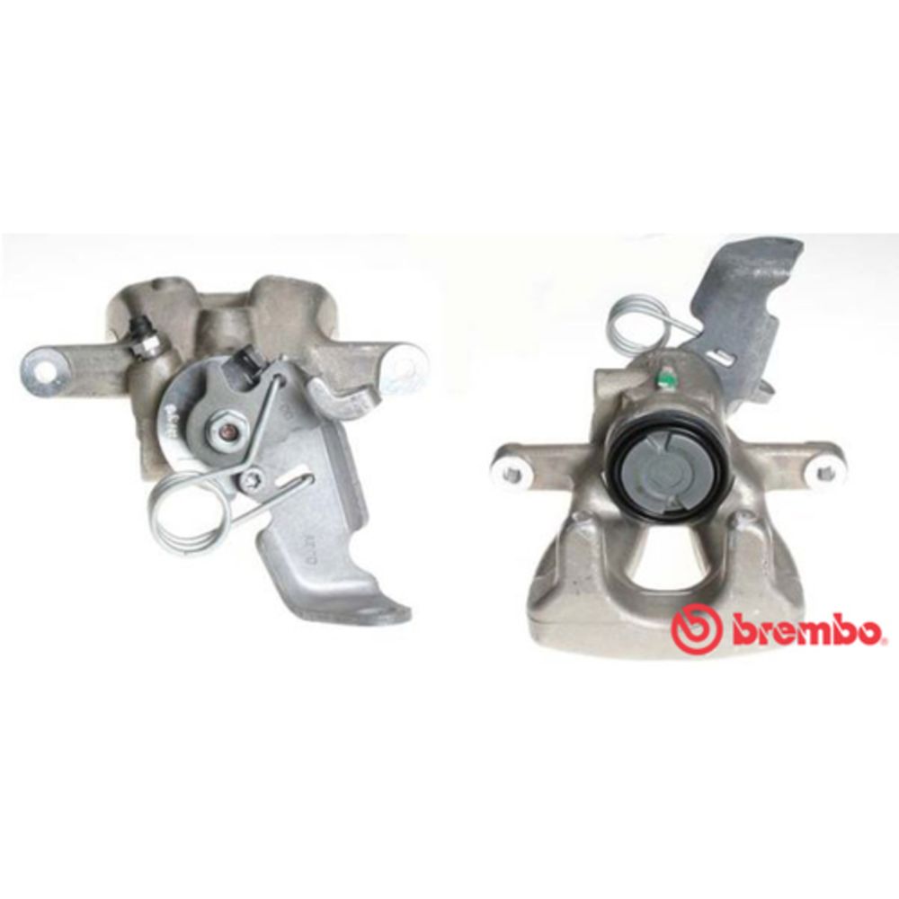 Jarrusatula 23-00873