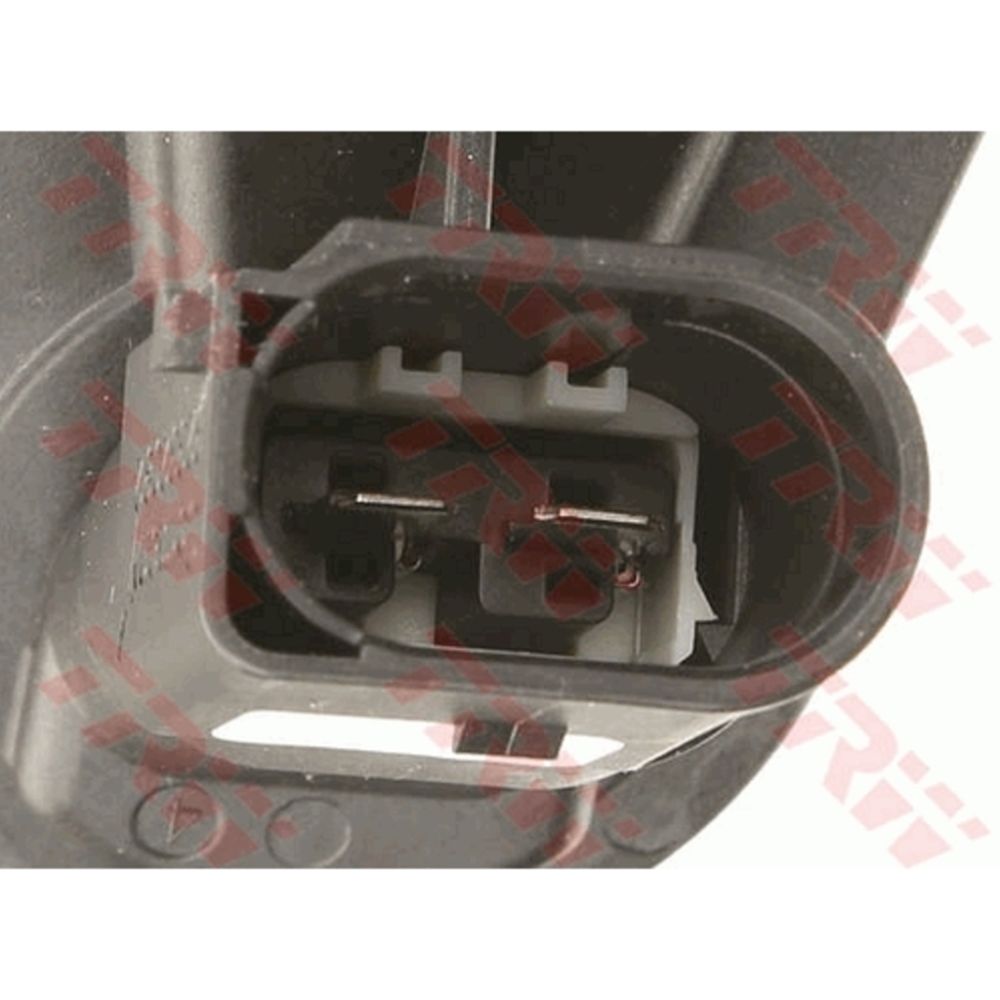 Jarrusatula 77-41607