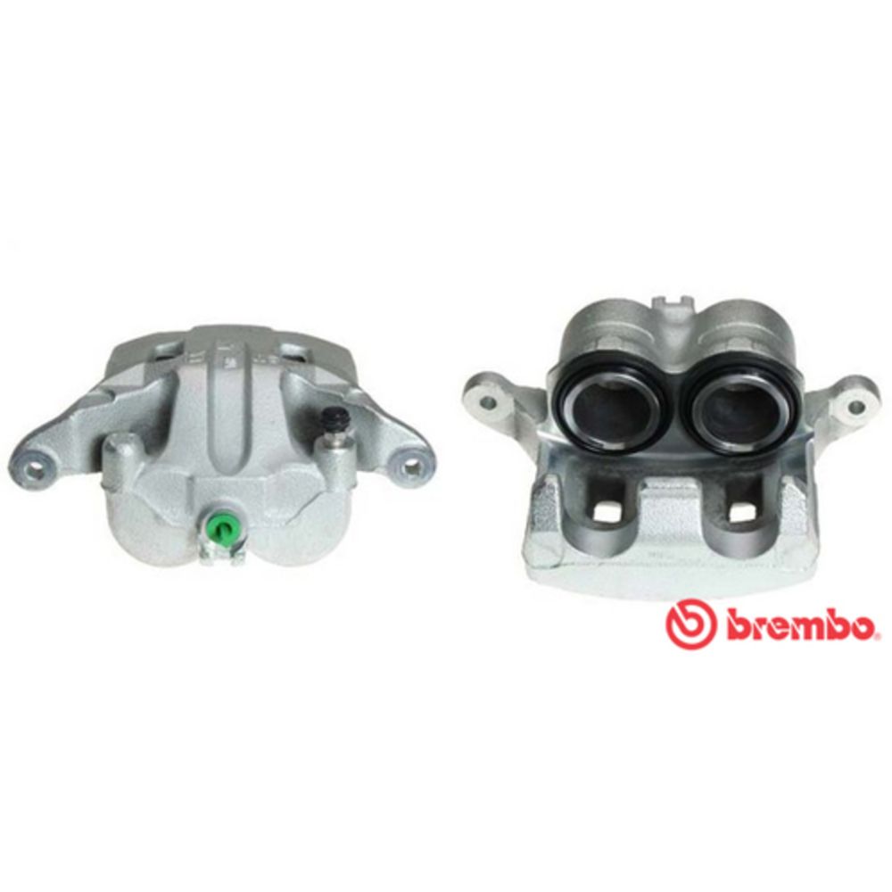 Jarrusatula 23-01300