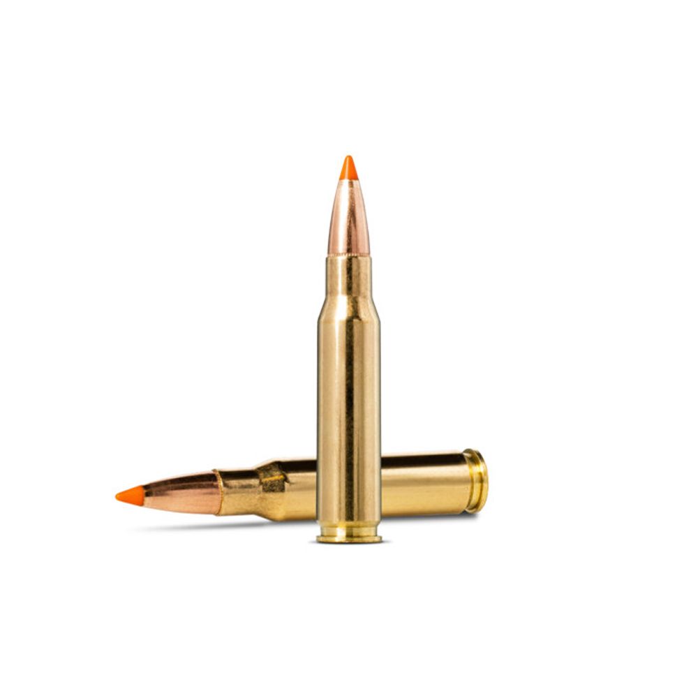 NORMA CTG .308 WIN TIPSTRIKE 11.0G/170GR 20st