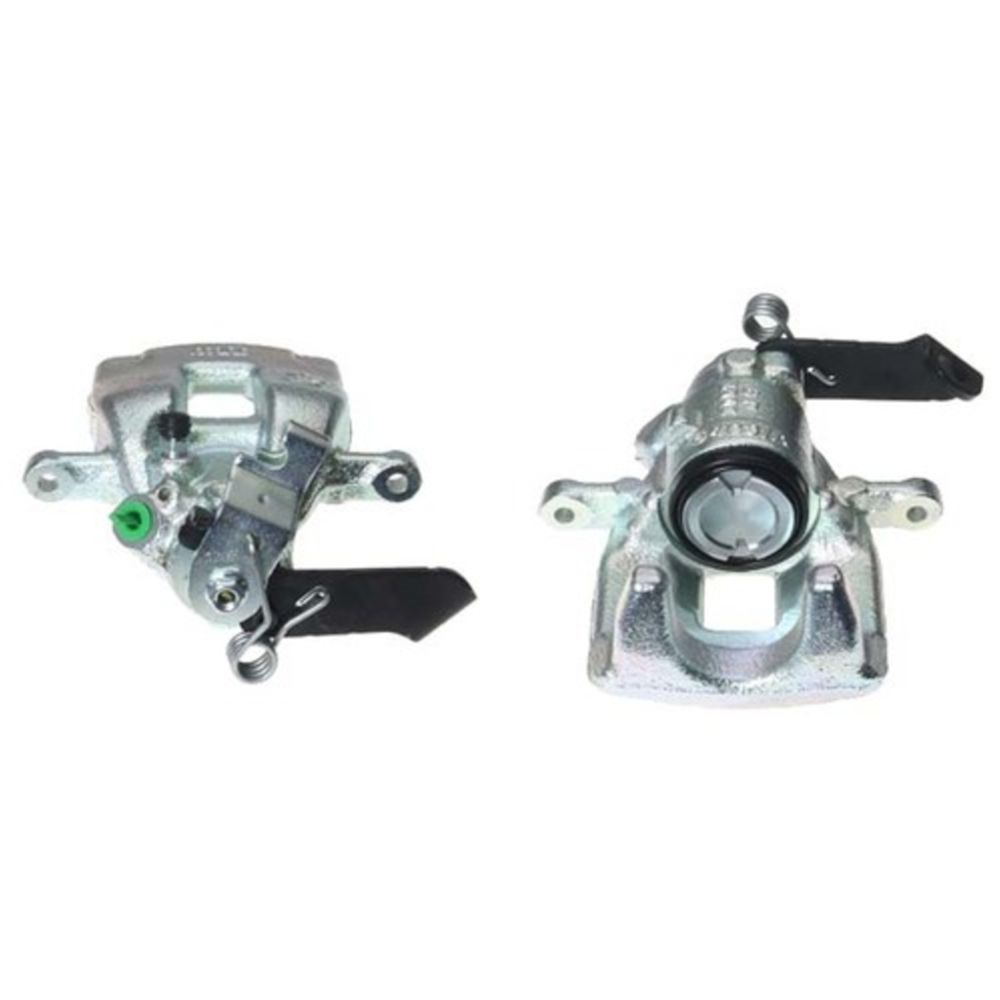 Jarrusatula 23-03019