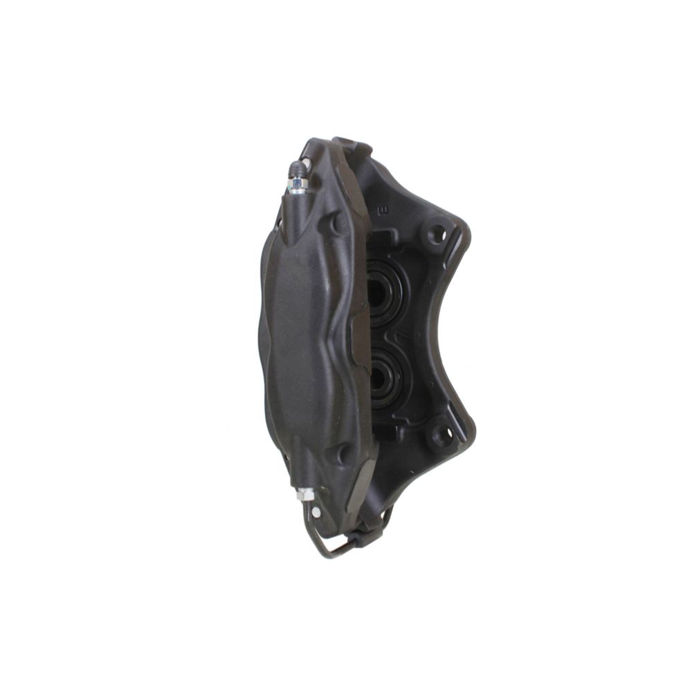 Jarrusatula 23-02288