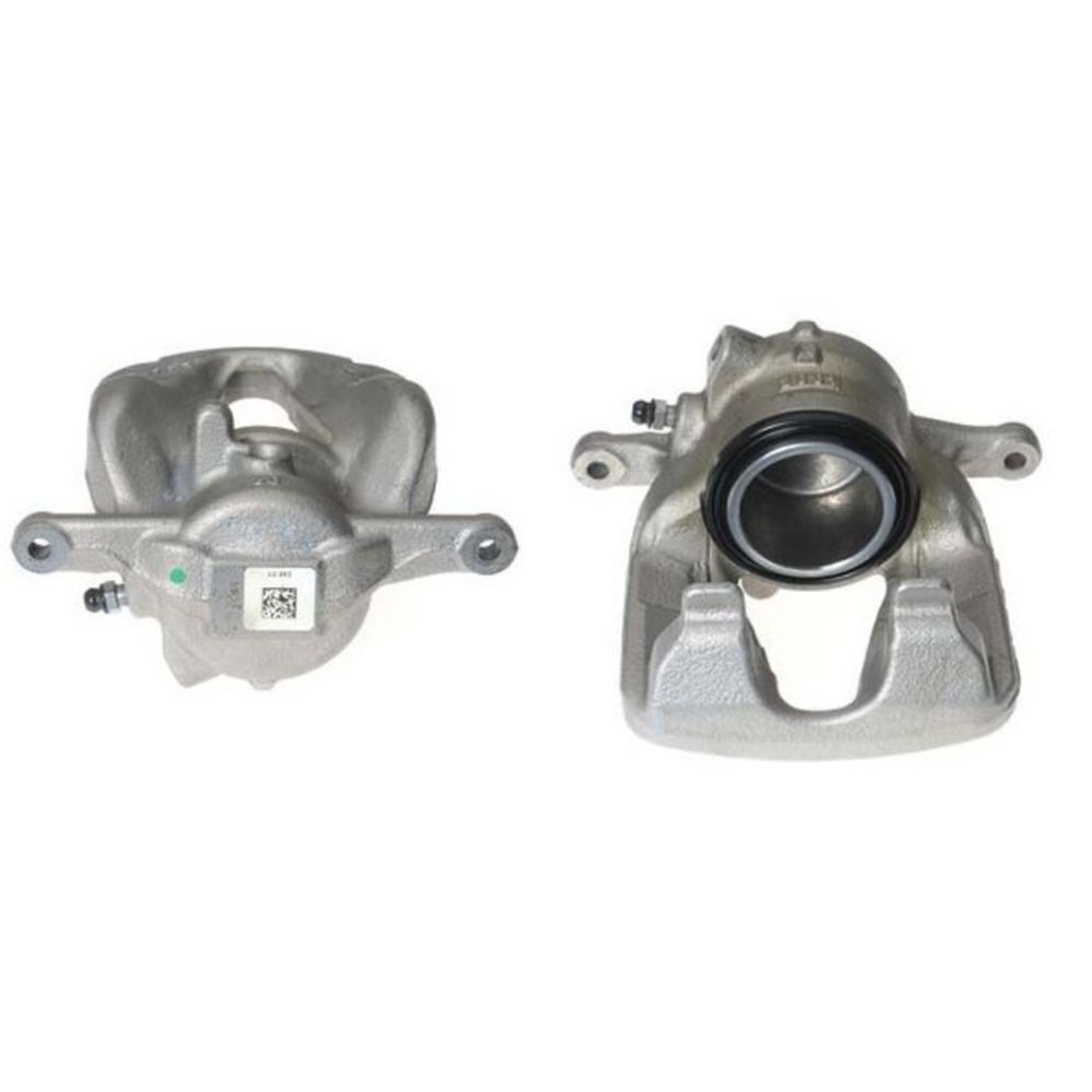 Jarrusatula 23-00035