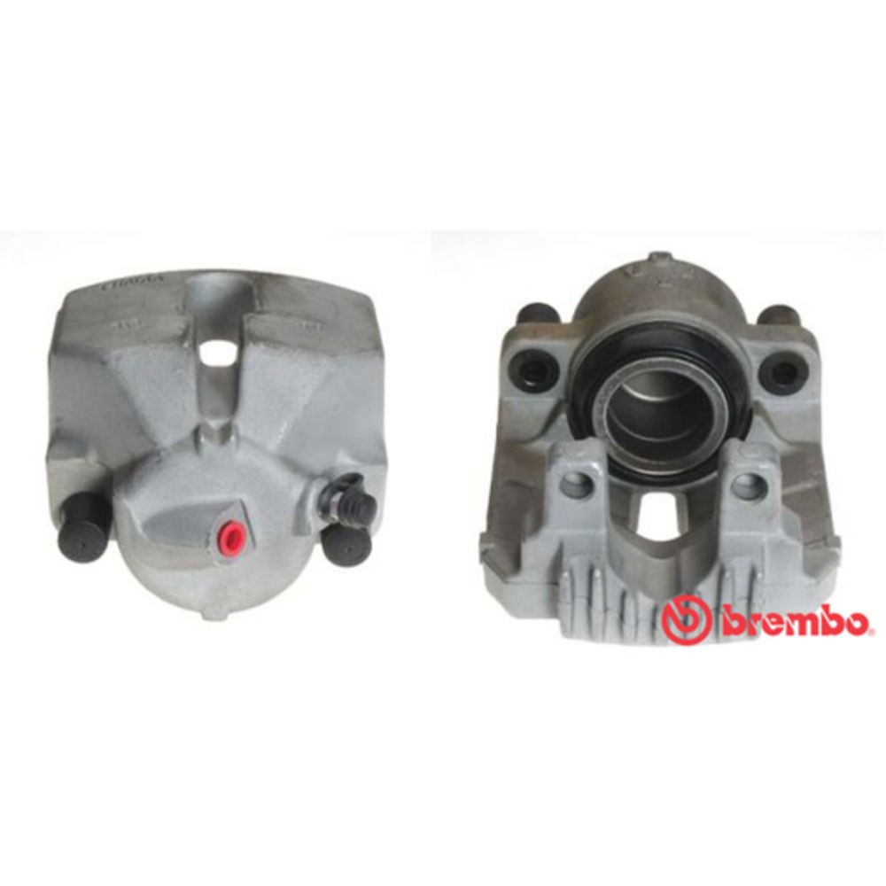 Jarrusatula 23-01024