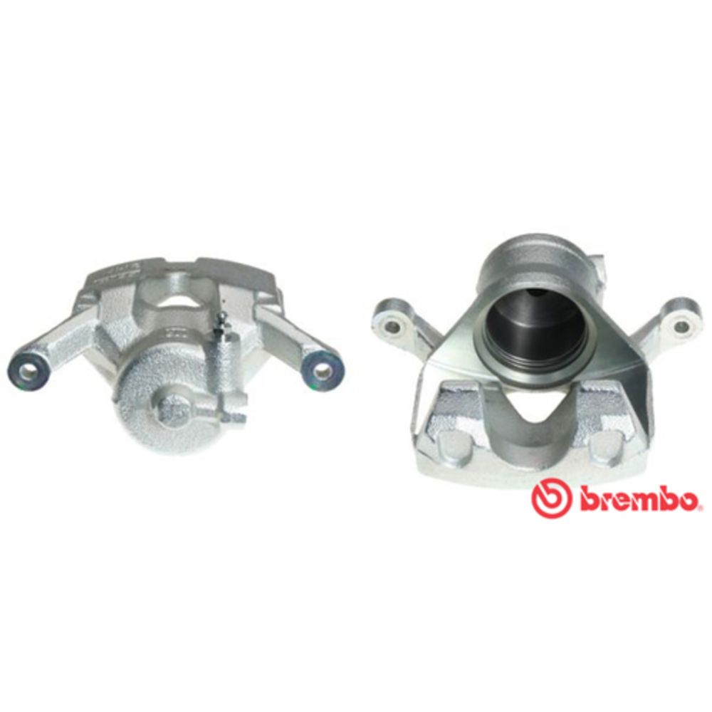 Jarrusatula 23-03073