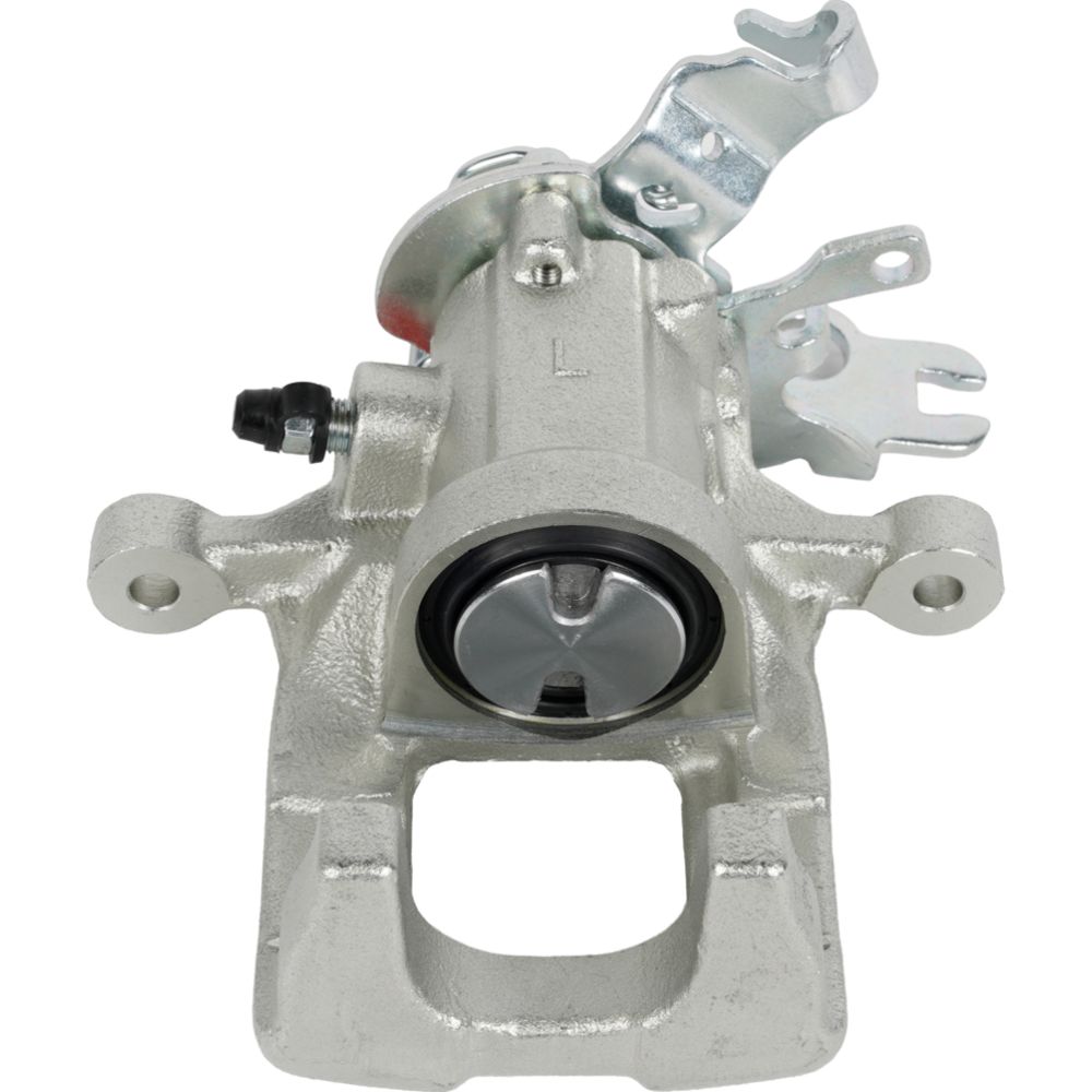 Jarrusatula 23-02710