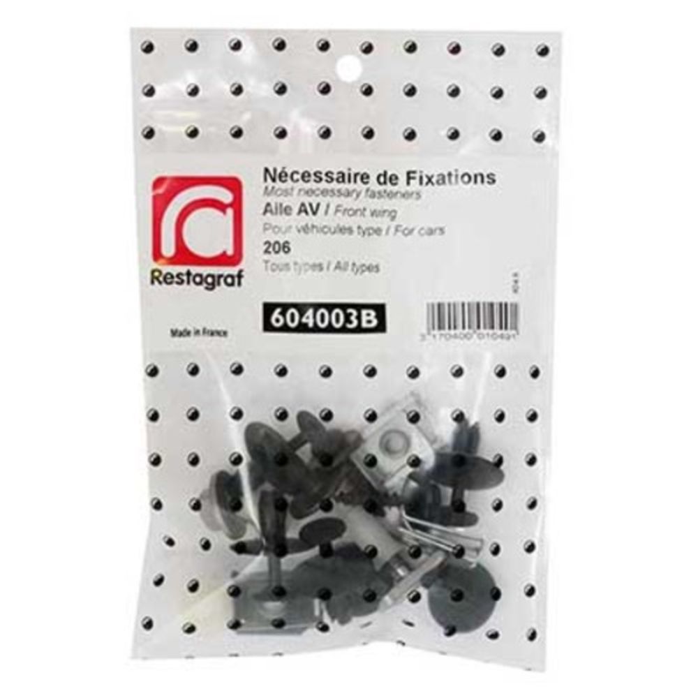 Kinnituskomplekt Peugeot poritiib 604003B 16 osa