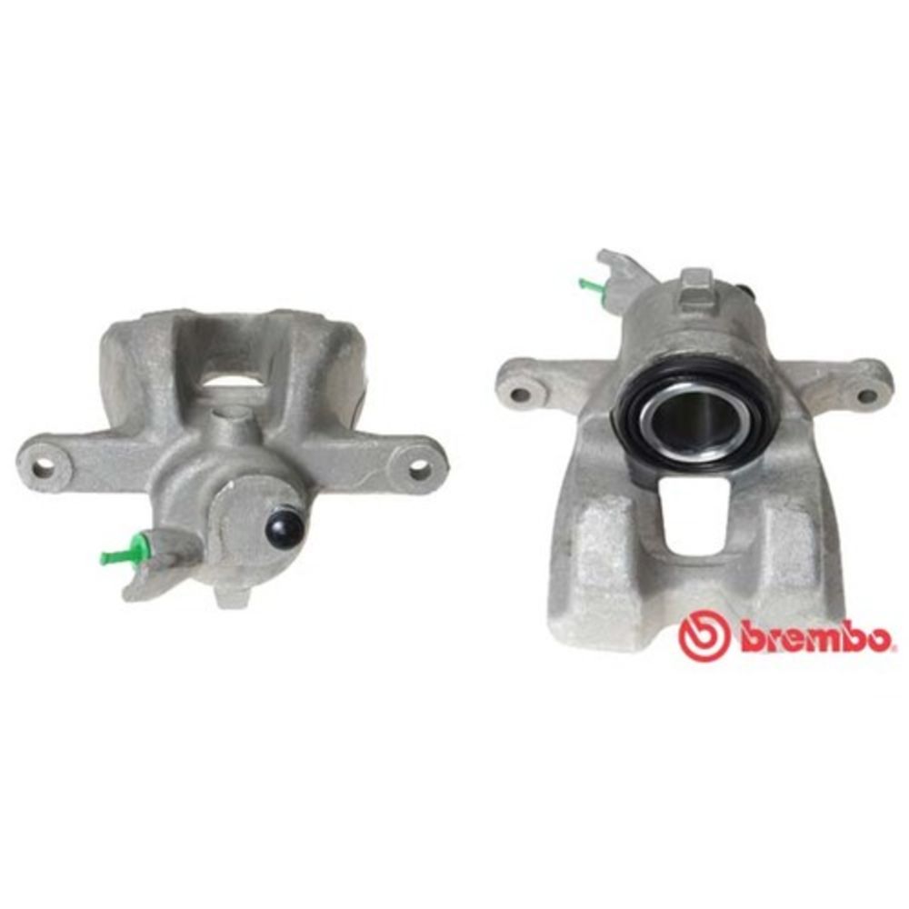 Jarrusatula 23-01479