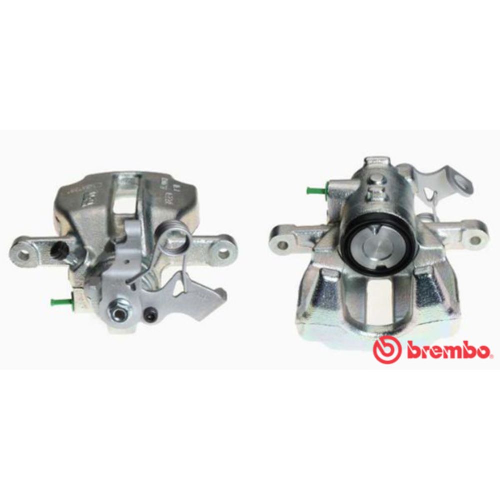 Jarrusatula 23-00432