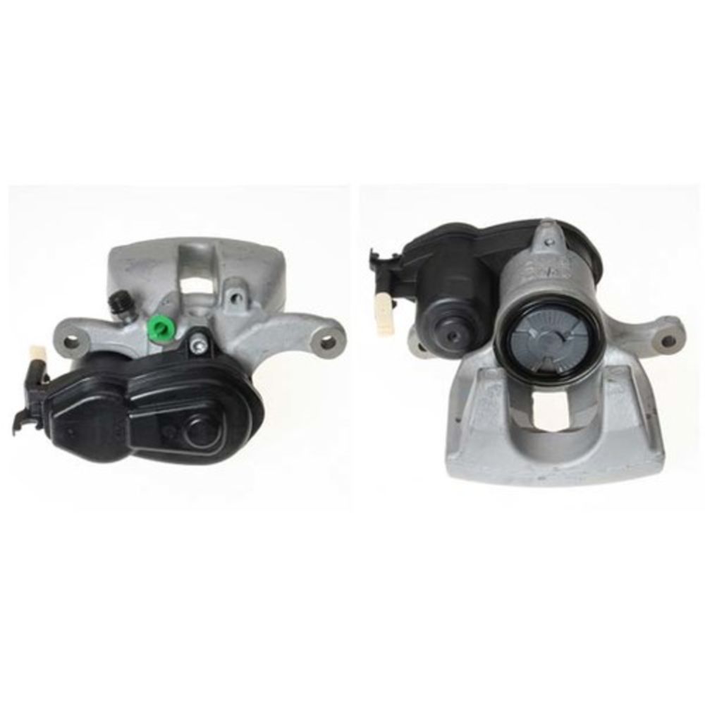 Jarrusatula 23-00949