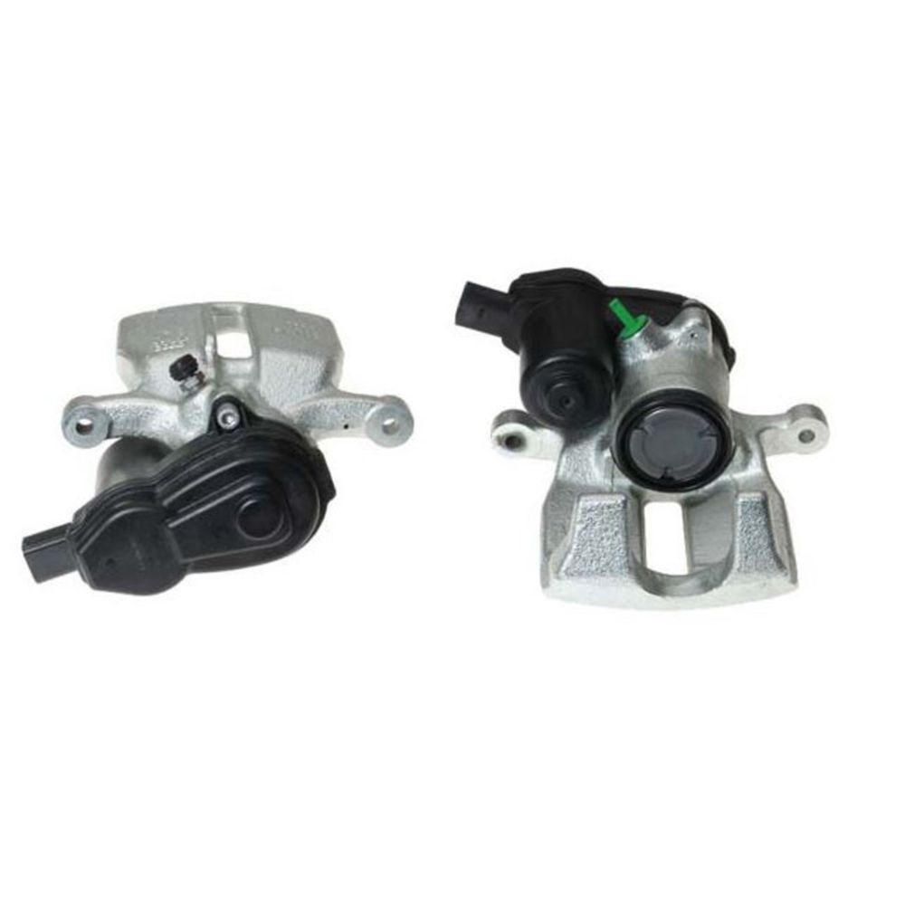 Jarrusatula 23-00335