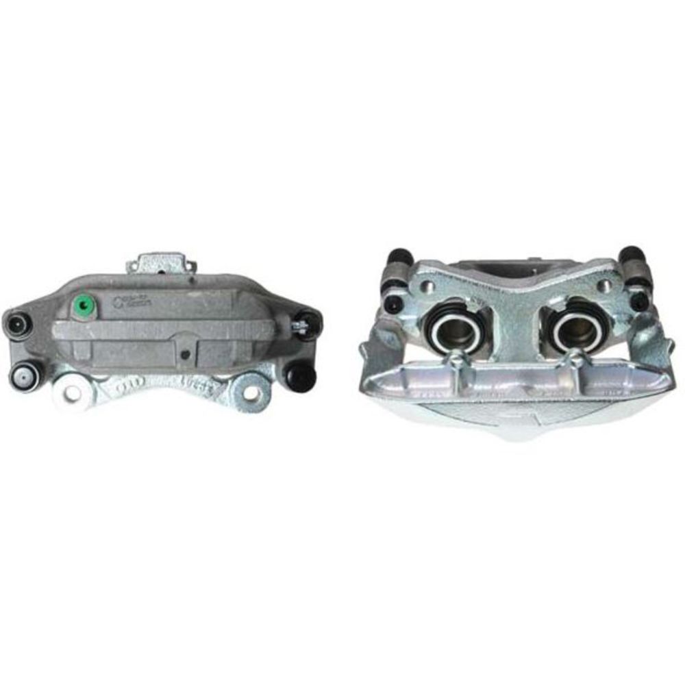 Jarrusatula 23-00235