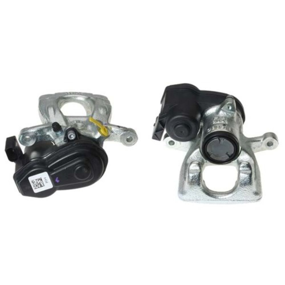 Jarrusatula 23-00457