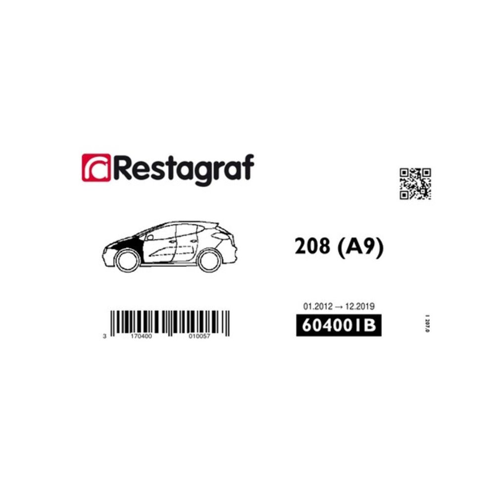 Kiinnikesarja Peugeot lokasuoja 604001B 13 osaa