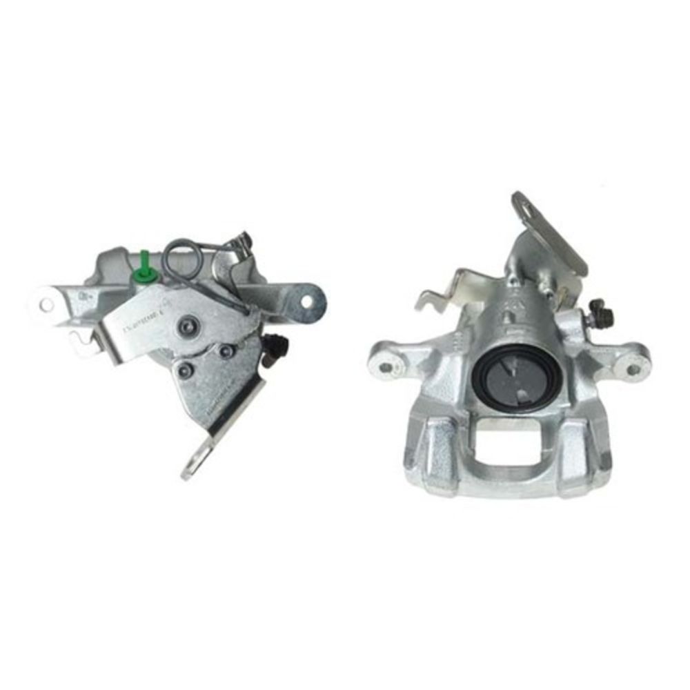 Jarrusatula 23-00971