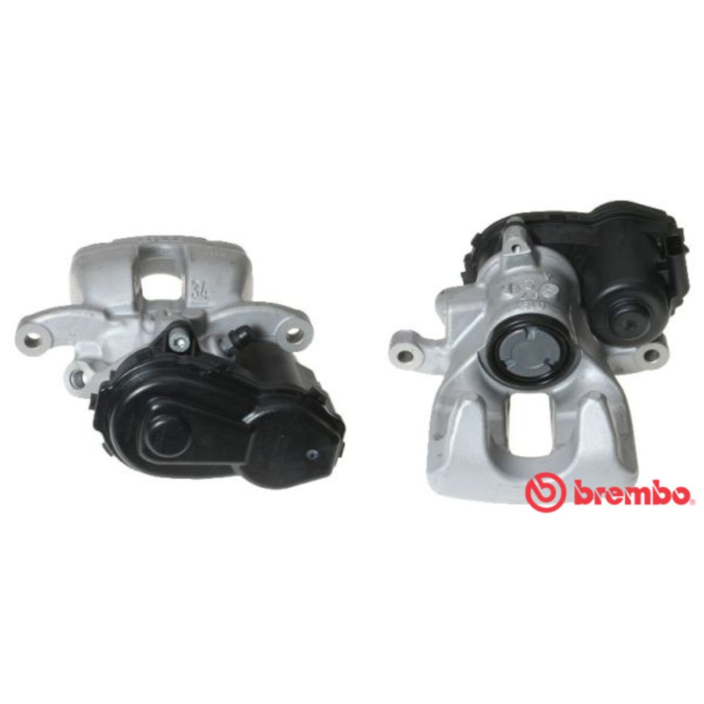 Jarrusatula 23-00900