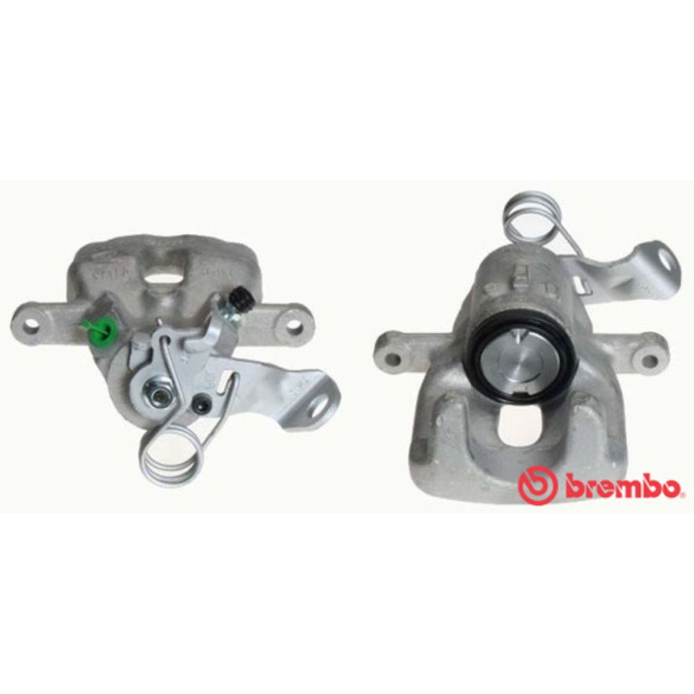 Jarrusatula 23-01571