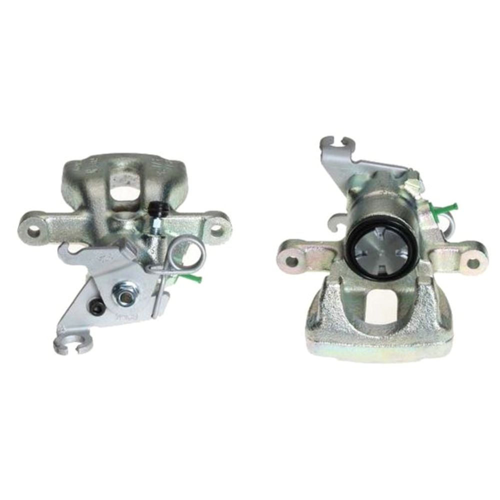 Jarrusatula 23-00041